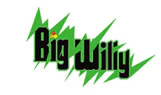 Big Willy - Image 2