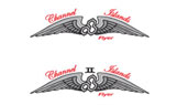 The Flyer II - Image 2